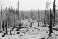 Cherry Valley area west of Lake Eleanor; (taken to record area before extensive reservoir development)