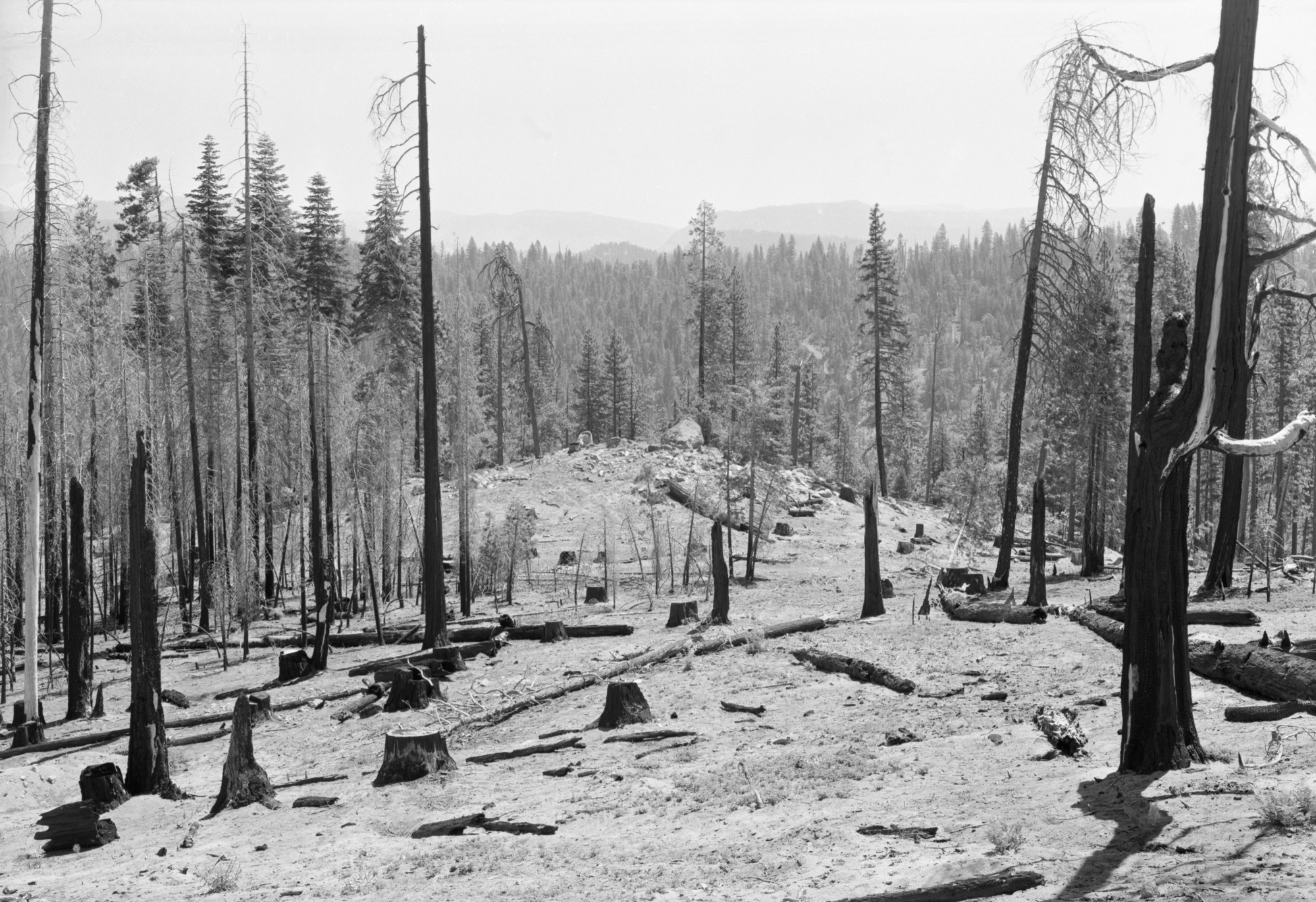 Cherry Valley area west of Lake Eleanor; (taken to record area before extensive reservoir development)