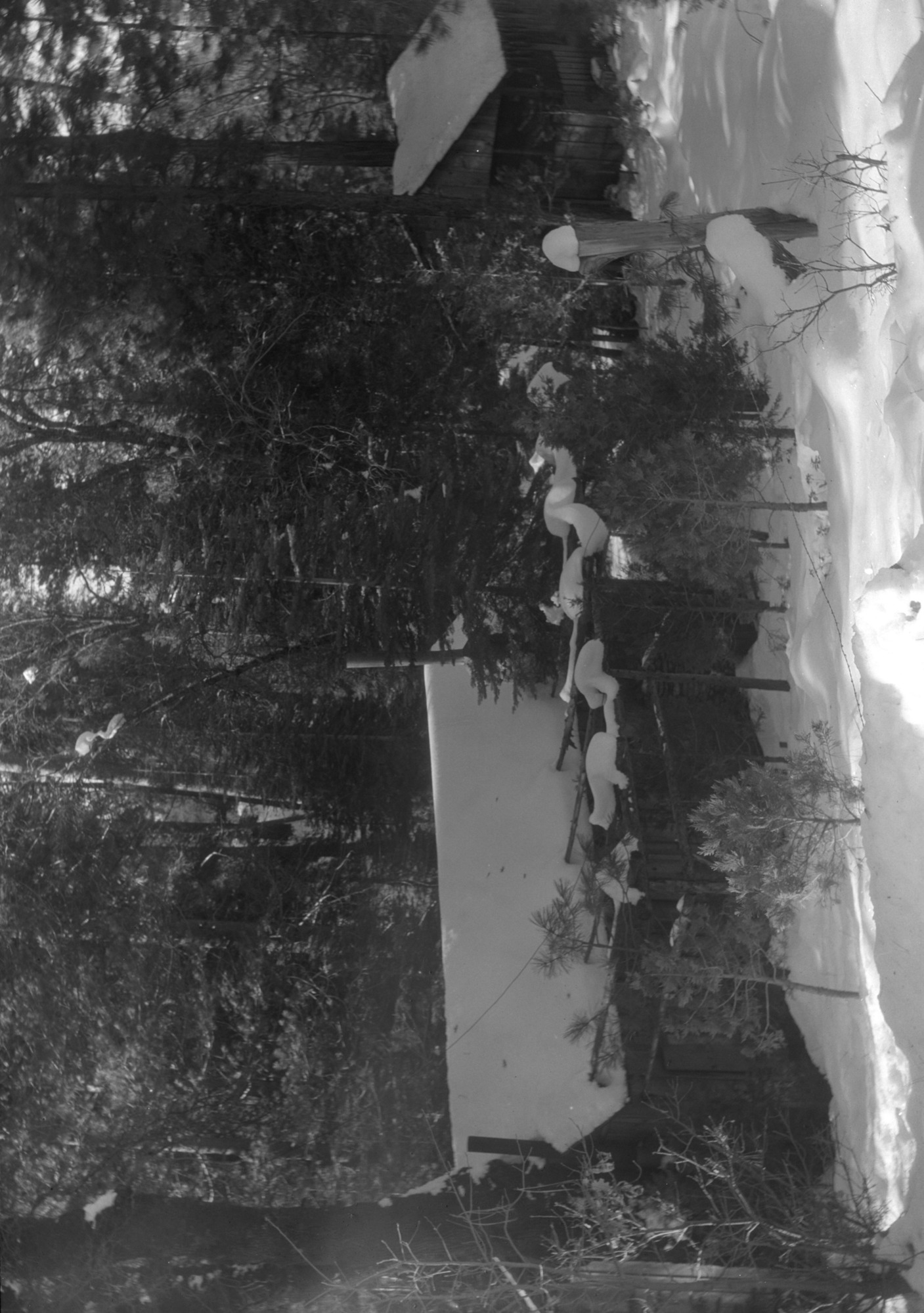 Private land, sec. 33, Wawona.