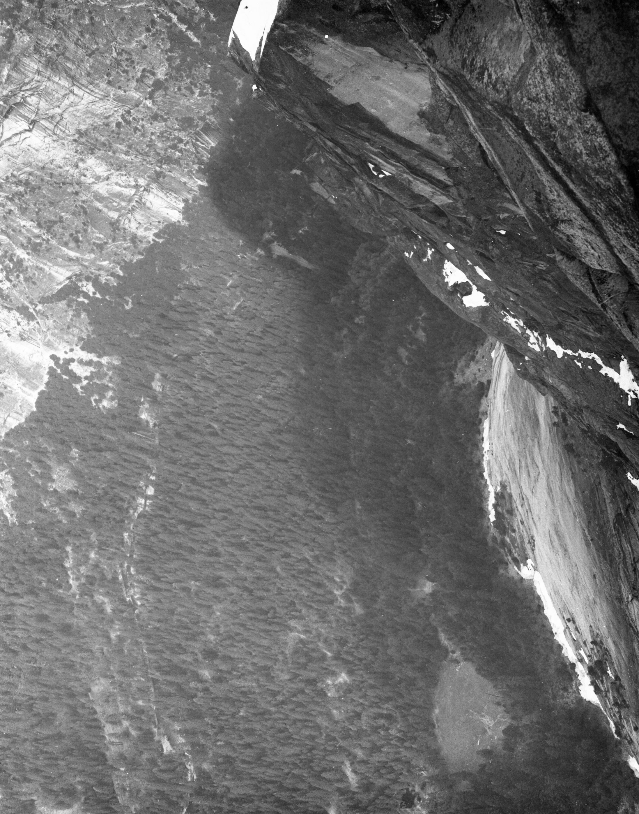 Floor of Yosemite Valley from Glacier Point