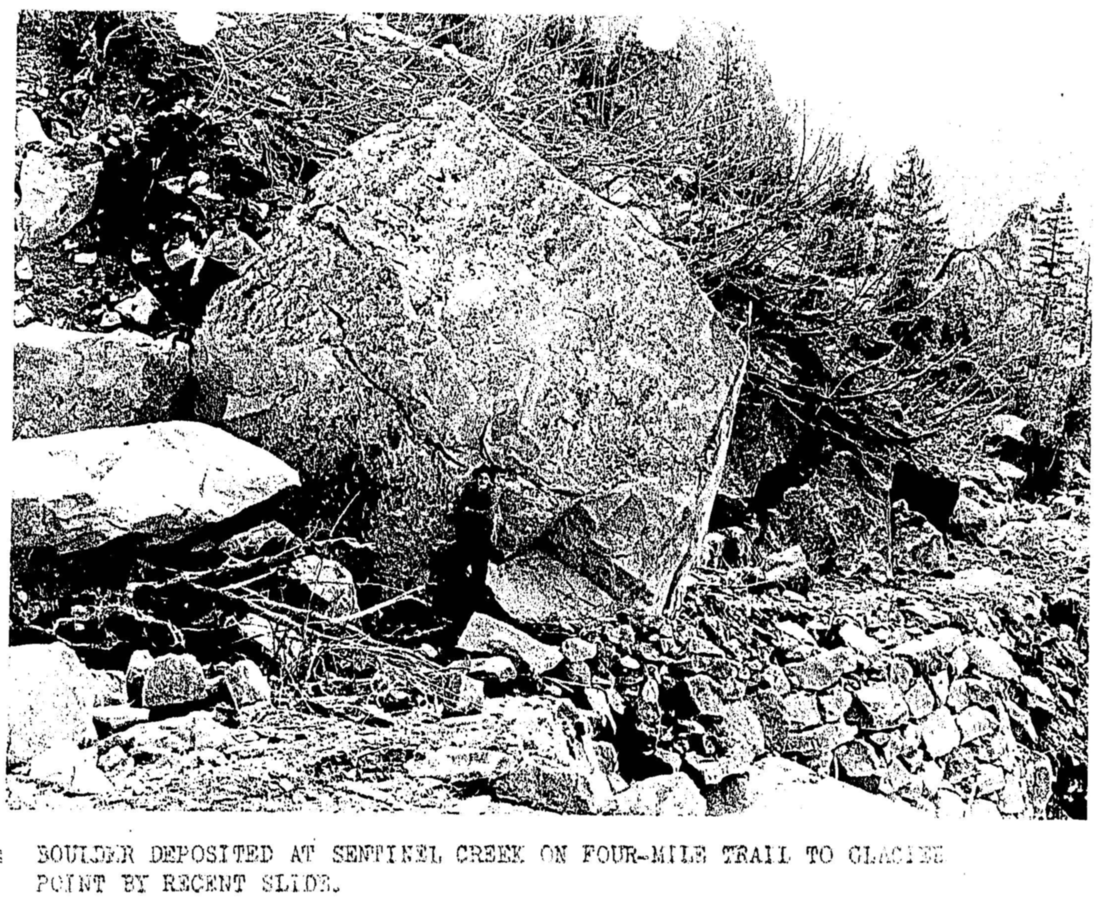 Large fresh boulder on rocky trail with brush and tree covered slope behind.