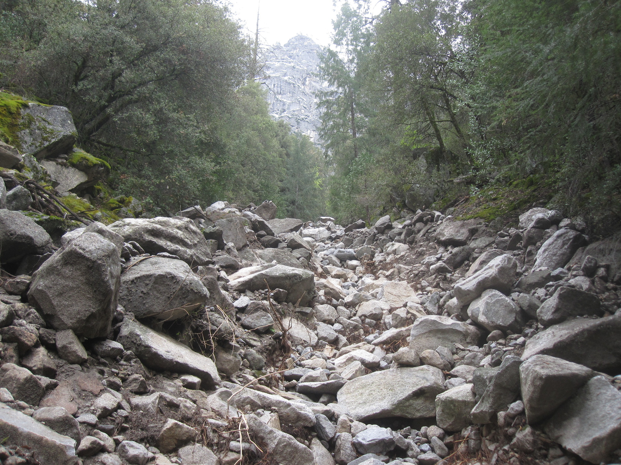 Boulders, gravel, soil, and broken vegetation fill a steep gully lined with trees.