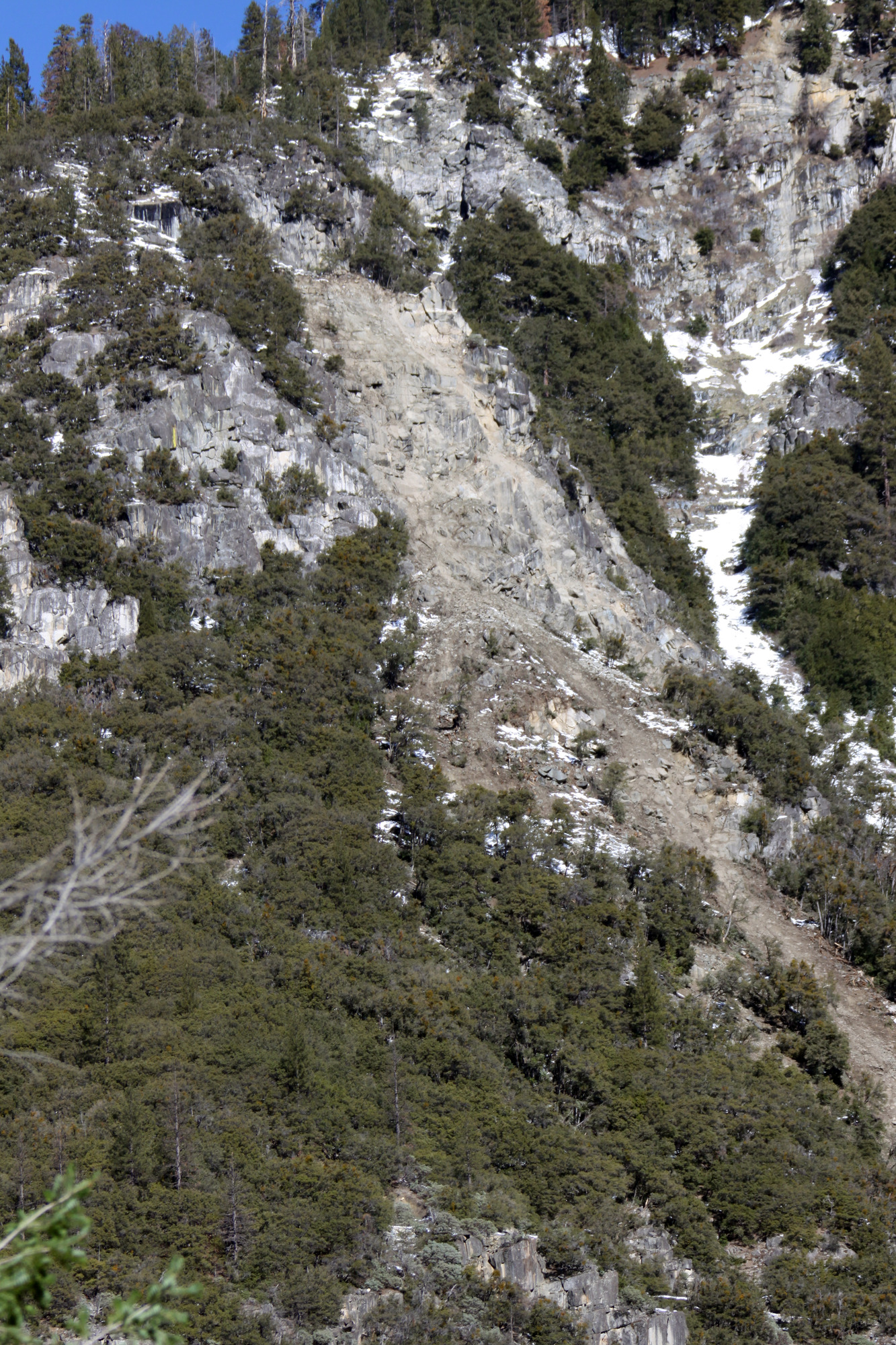 Source area  and runout path of a rock slide. The cliff face shows evidence of rock impacts, sheared trees, broken branches, and fresh debris on the talus slope below.