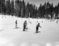 Badger Pass