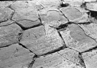 View of the glacial polish on the top of the basalt columns at Devils Postpile National Monument. Glaciers have worn and polished the top of the columns making them appear to be a mosaic pattern of tile.