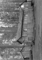 Two buildings at Carl Inn.