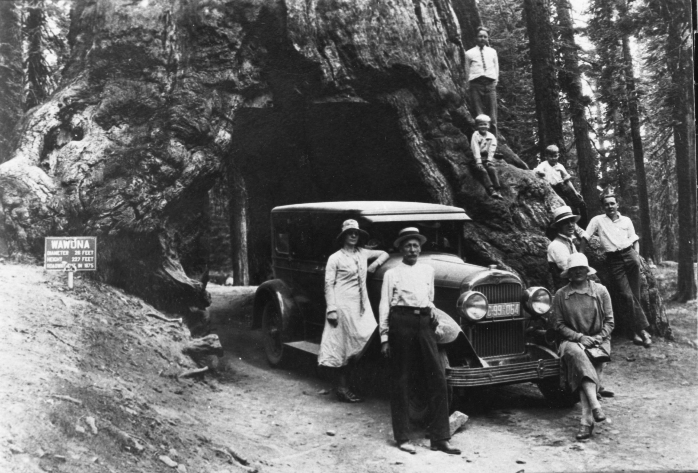 Left of car: Hulda Swanson of Santa Barbara (sister of Edwin Johnson) & John Swanson. Right of car, from top: Norman Johnson, Winton Johnson, Carol Johnson, Edwin Johnson, Jr., Edwin Johnson, Sr. and Lisa Nissen Johnson (of Santa Maria). 1926 Cadillac. Photo donated by Dean Wessel. copied by Michael Dixon, copied 1987