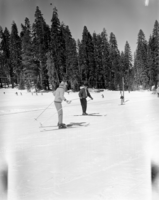 Badger Pass