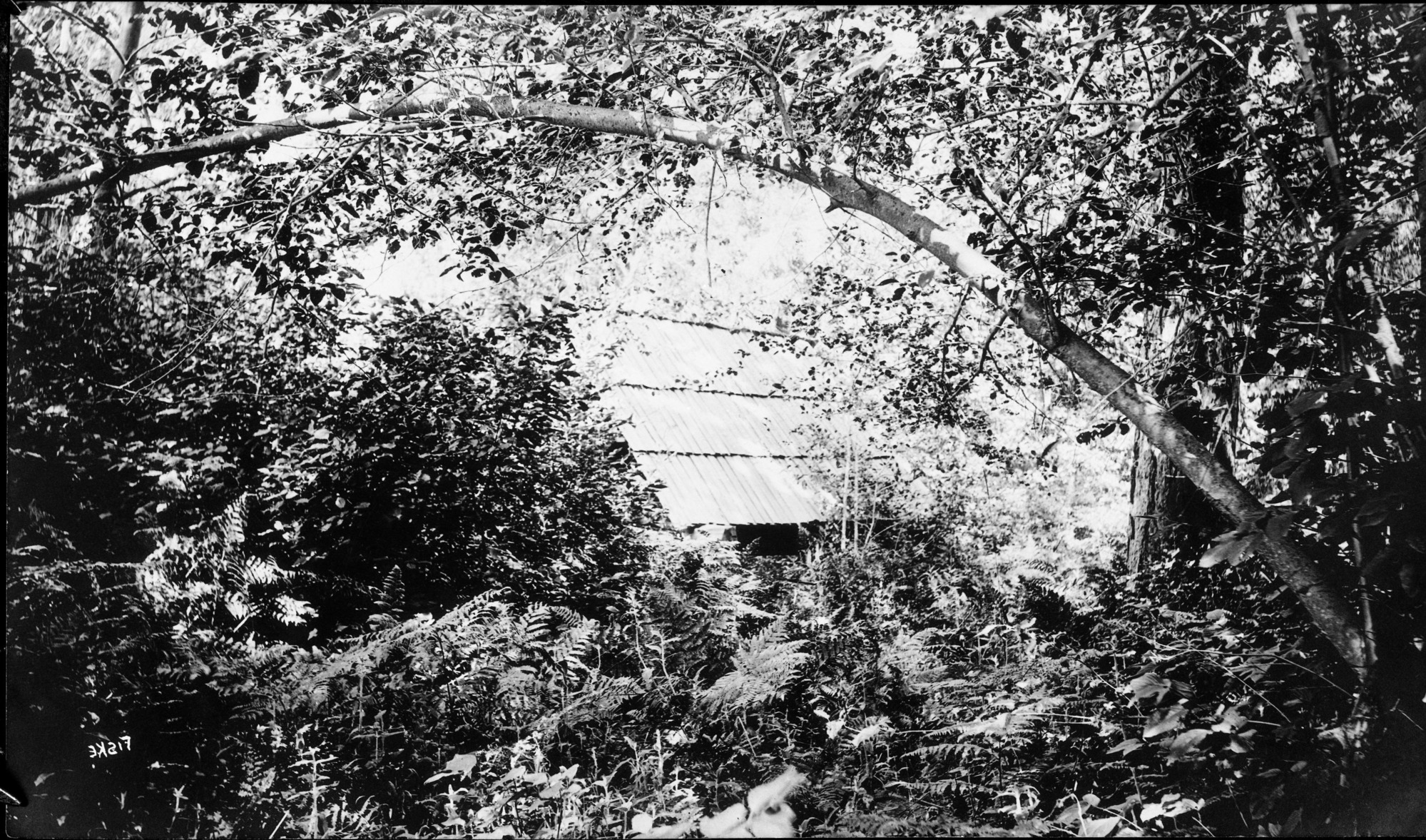 Muir's lost cabin on Tenaya Cr. (November 1940 Camp 12). copied by Cather