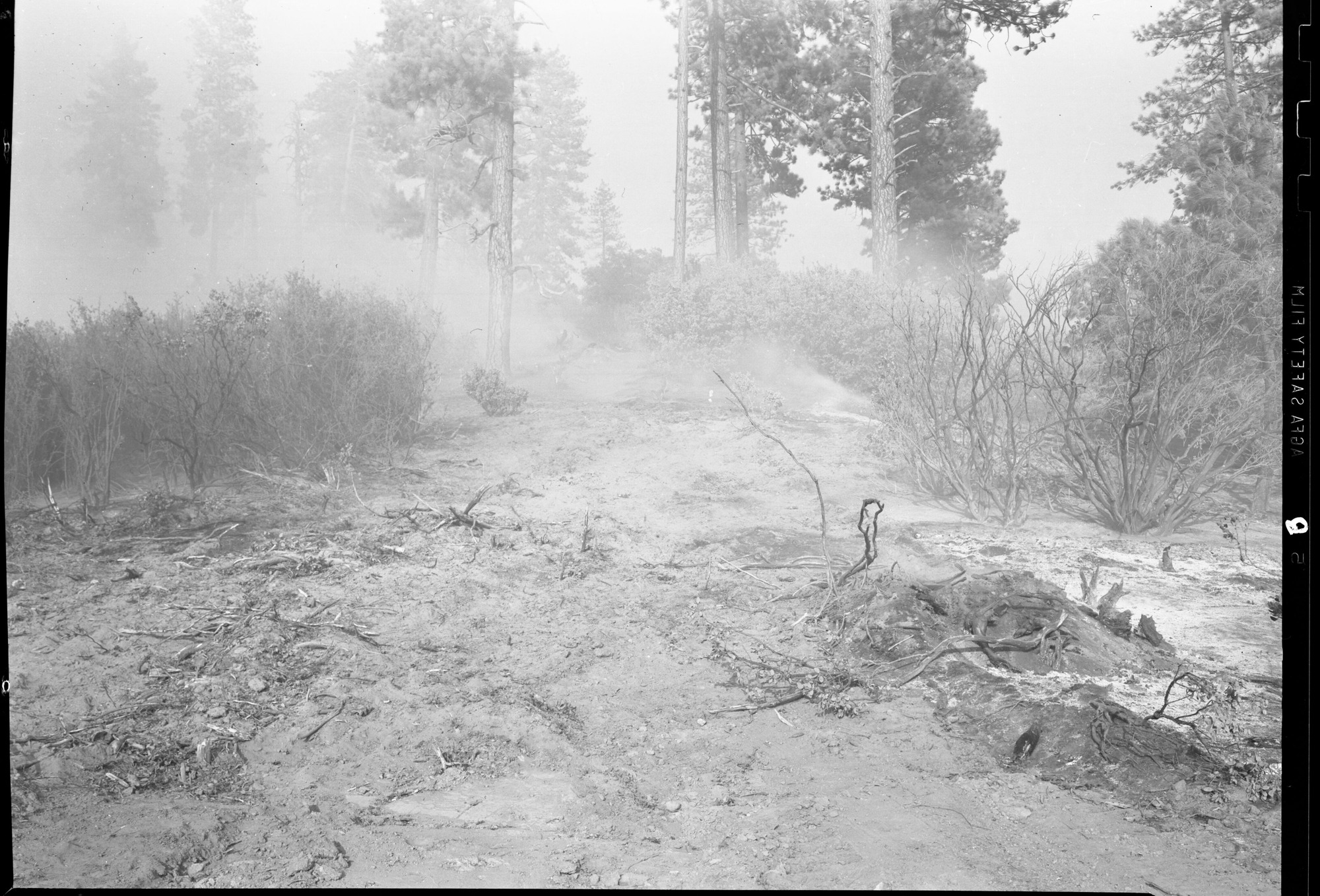 Where fire leaped across fire break near Macauley Ranch
