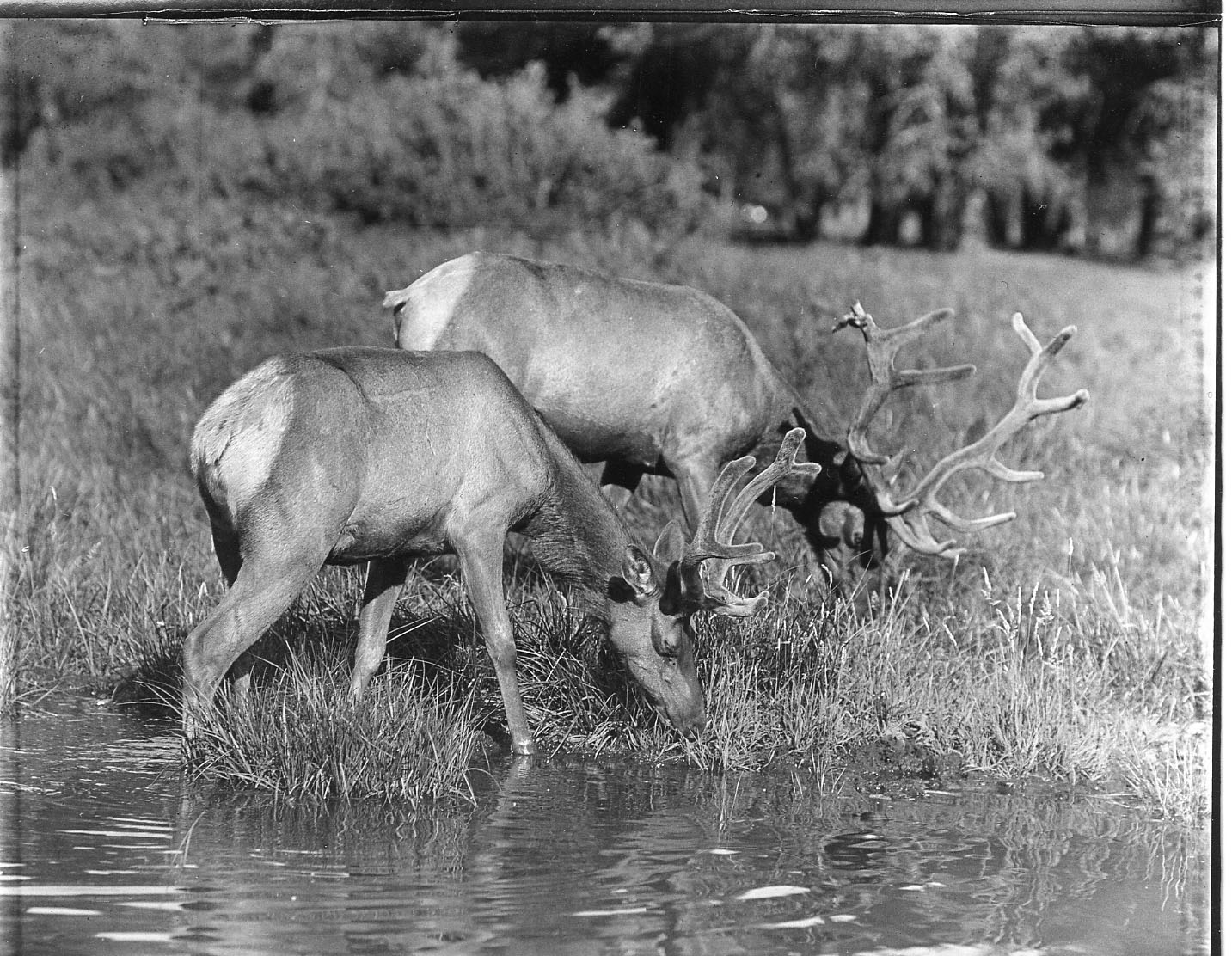Yosemite National Park
