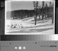[Skiing at Badger Pass. Yosemite - Chief Park Naturalist].