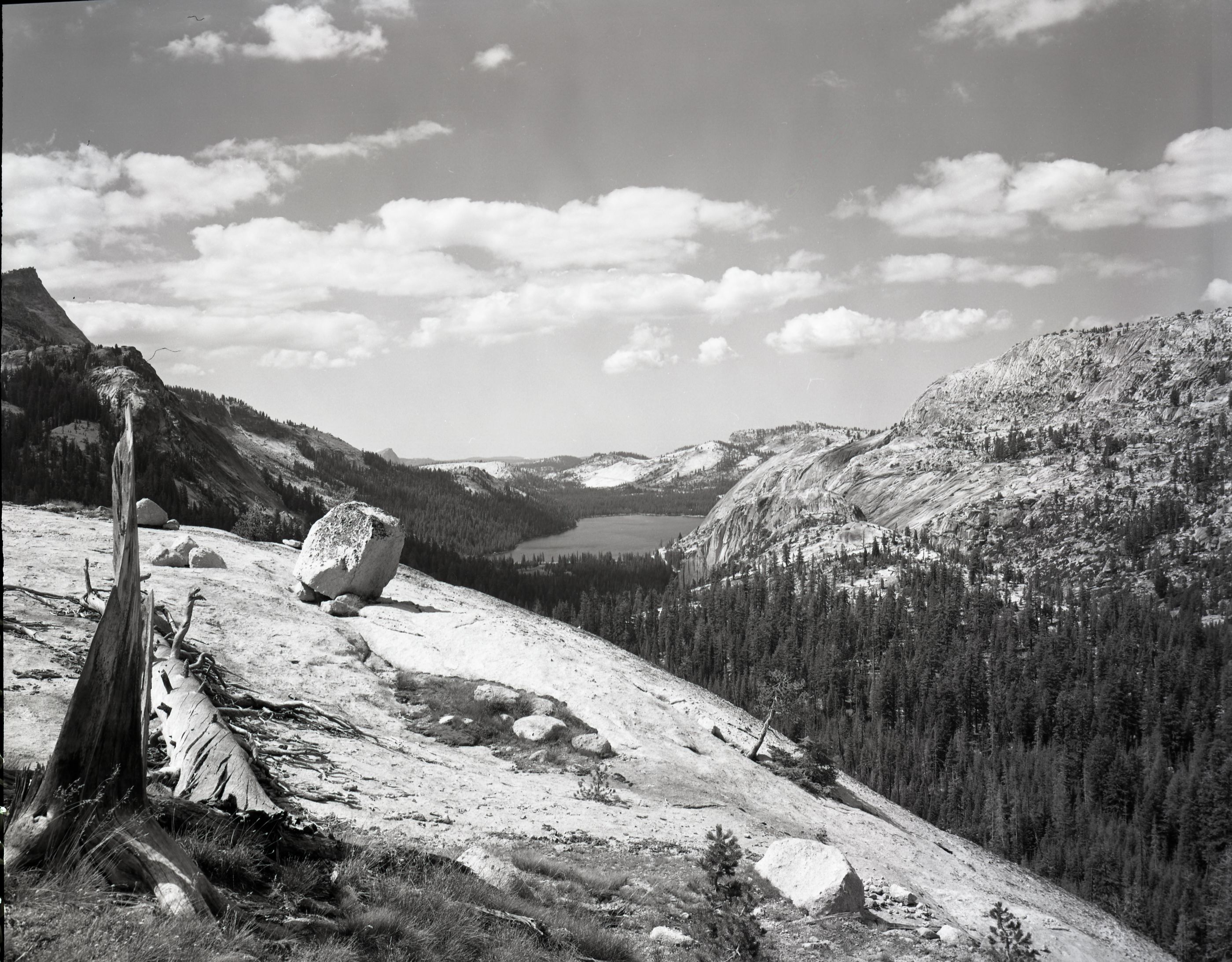 View of Tenaya Lake from Ledge trail to Cathedral Lakes.