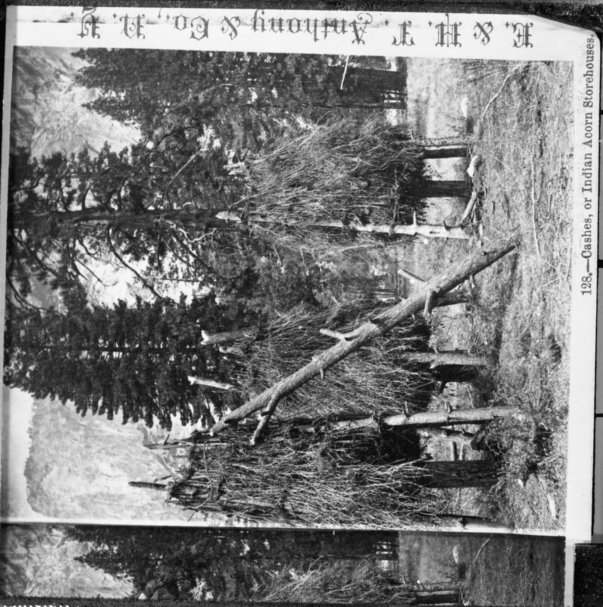 Copy of an E.& H.T. Anthony stereograph. (YNP Collection). Acorn Granaries.