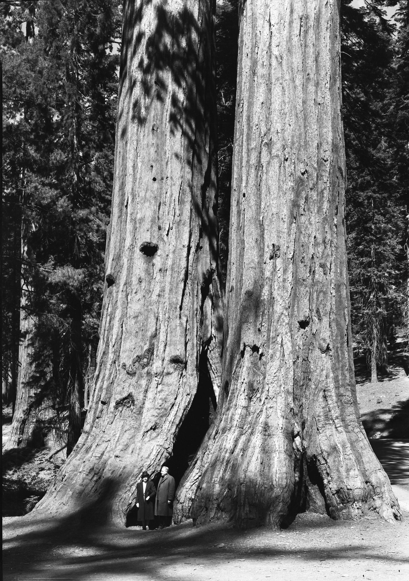 Mr. & Mrs. W.E. Reynolds, Asst. Director of the Procurement Div. Treasury Dept.