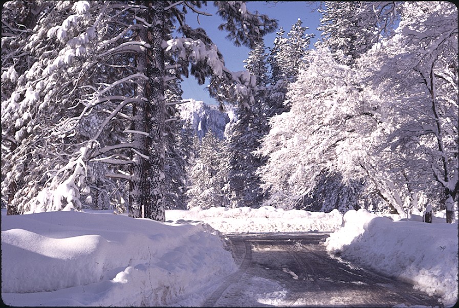 south of Yosemite Village