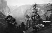 Old horse stage (operated on Wawona Road 1875-1915)