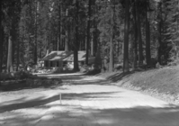 Big Trees Lodge and parking area.
