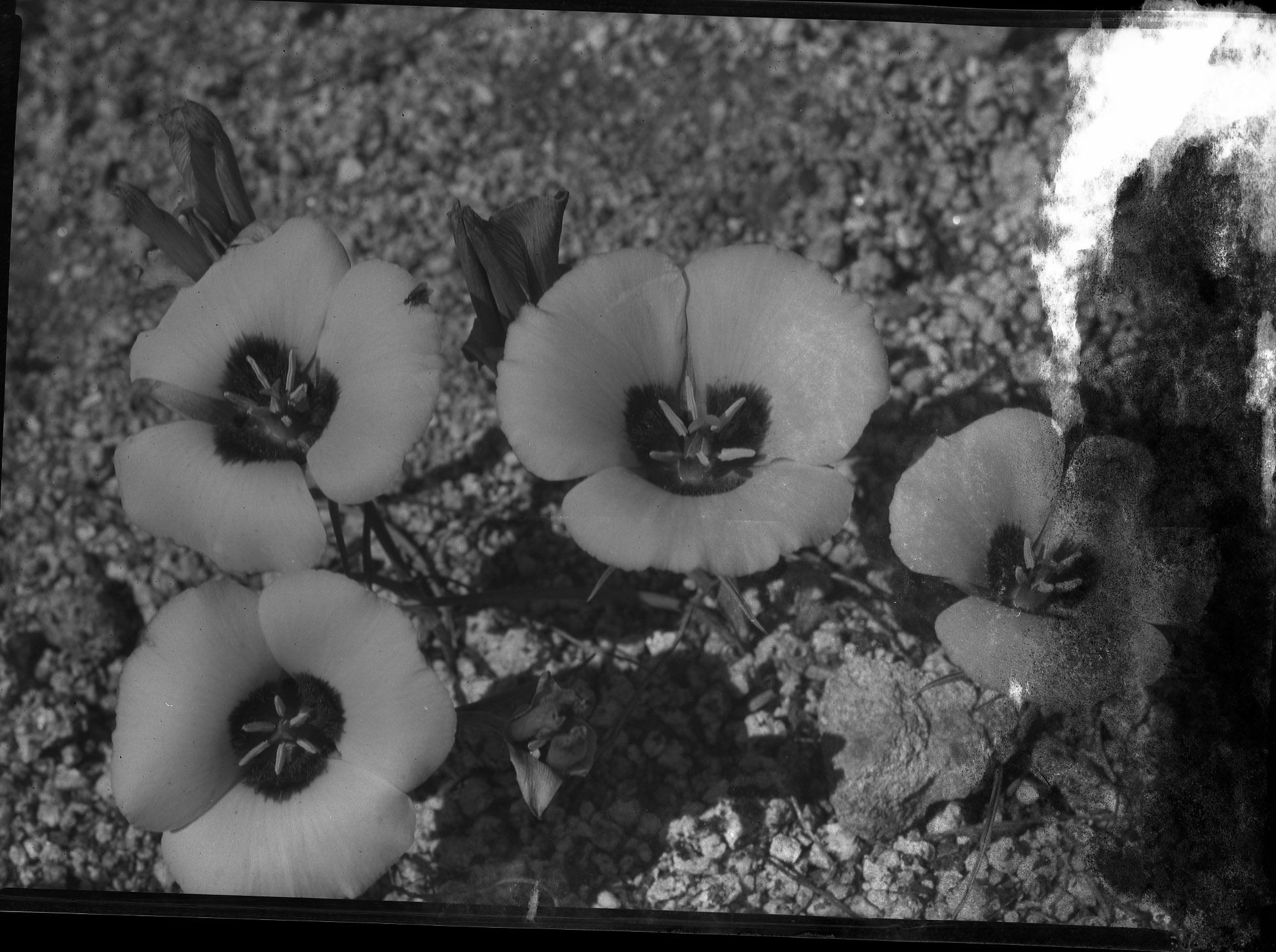 Yosemite National Park