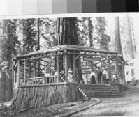 Copy Neg: 1983, J. Ernst. Starting at right - Mr. Farrow, Mrs. Dohrman (Pres. of Company), Mrs. Dohrman, Mr. Dohrman's son, Mrs. Perry (hostess), Mr. Dohrman's son, Mrs. Farrow, Dr. Winterbug, Mrs. Dundam. "Note it is stamped 1919 Day camp was opened."