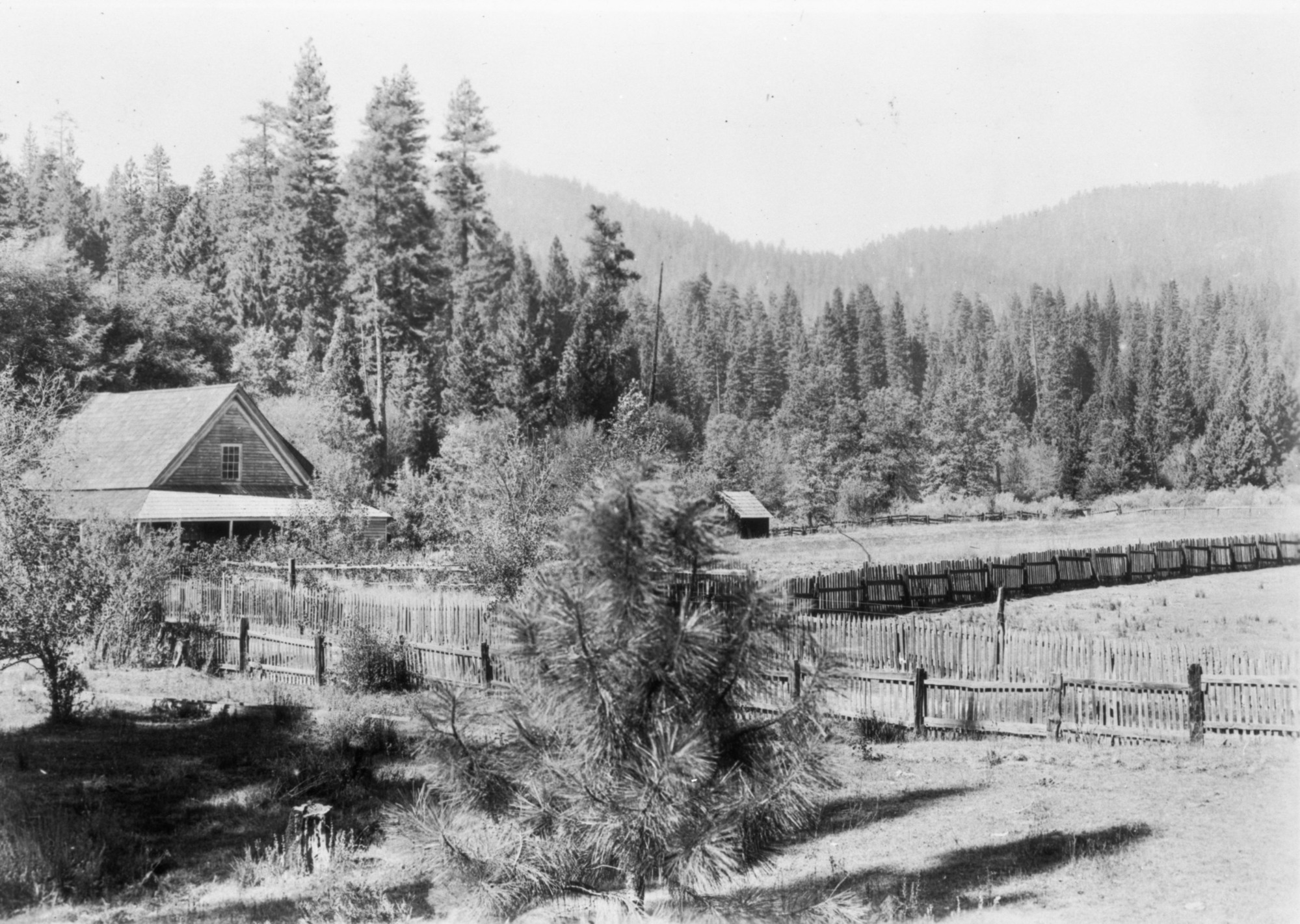 Meyers' place - Big Meadow. Used in Shirely Sargent's "Yosemite's Rustic Outpost - Foresta Big Meadow" p. 20