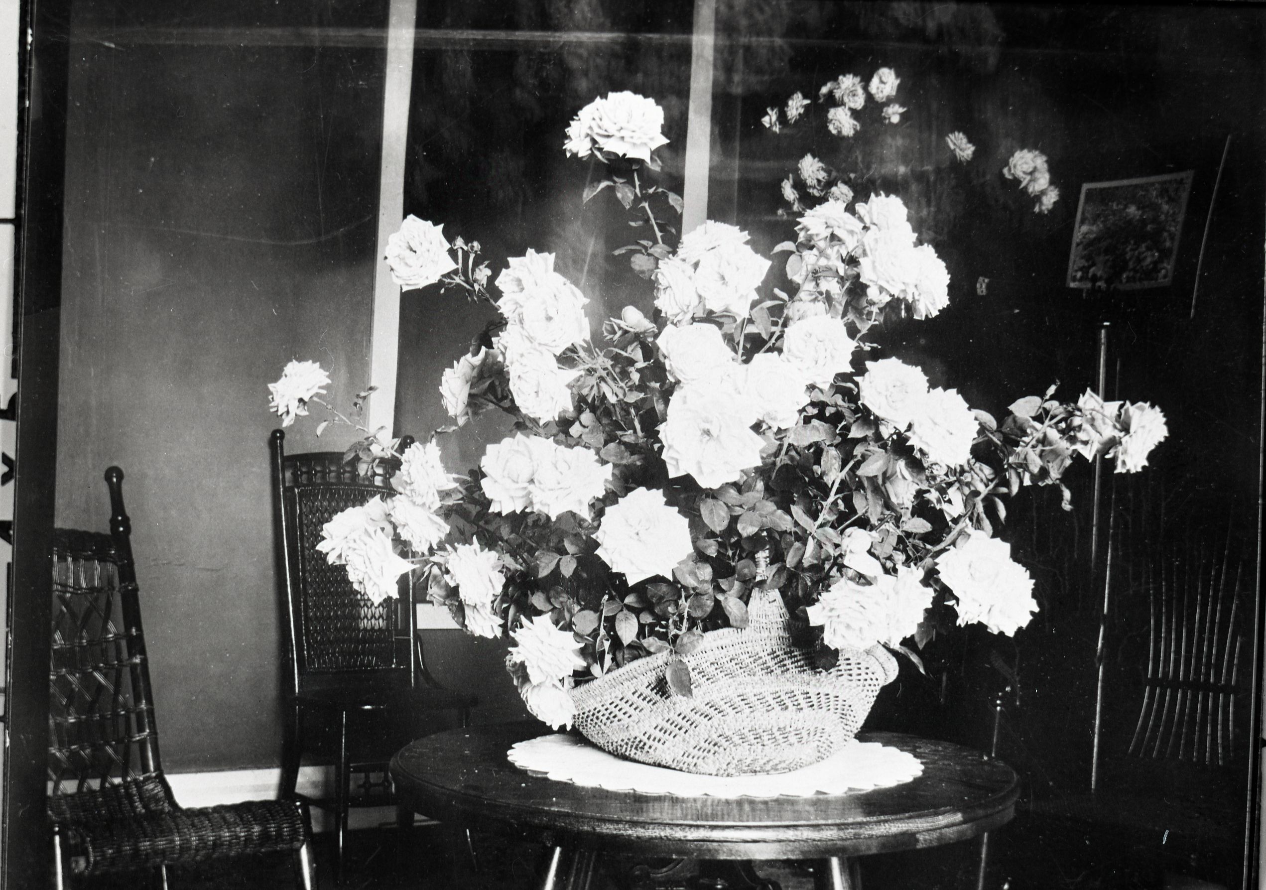 Floral arrangement in Miwok basket by Mrs. Wm. (Etta Grace) Sell Sr. Copied from original in YNP Collection.