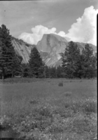 Half Dome and meadow flowers.
