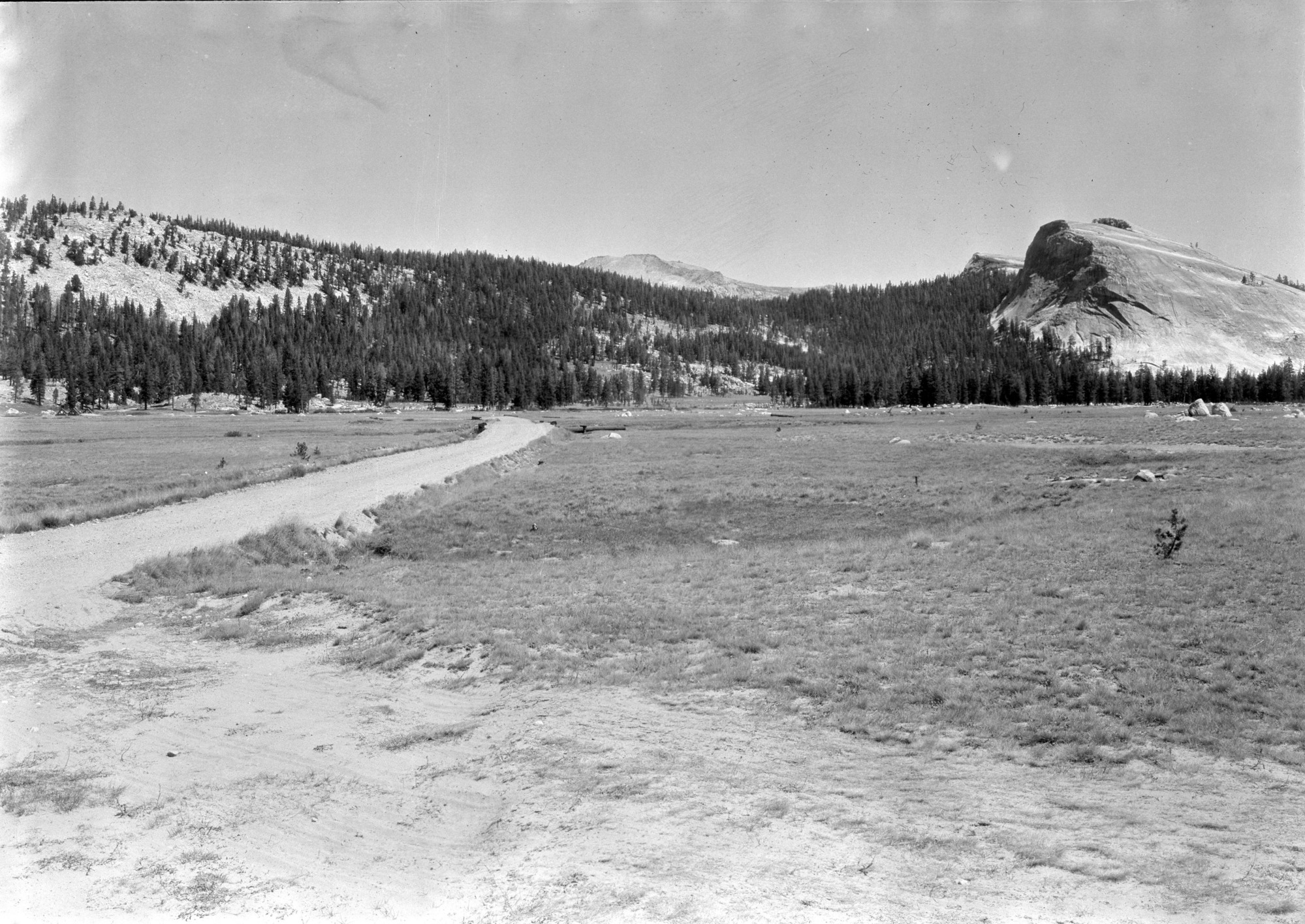 Private Lands Study. Sierra Club: From the extreme southwest corner looking northeast; the Tioga Road in the property; Parson's Lodge located on the low knoll in the left background; typical timber background in front of Lembert Dome.