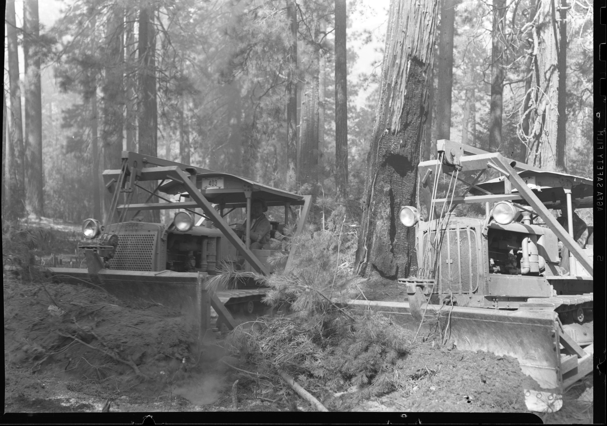 Caterpillars at work on fire break