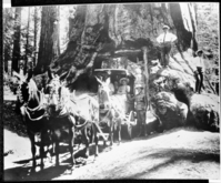 [Col. Wm. Forsyth standing to the right of wagon. See also RL-4414 NPS Collection #19,058].