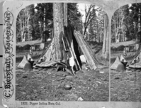 Miwok Home. Copy of a stereograph by Charles Bierstadt, dated 1868