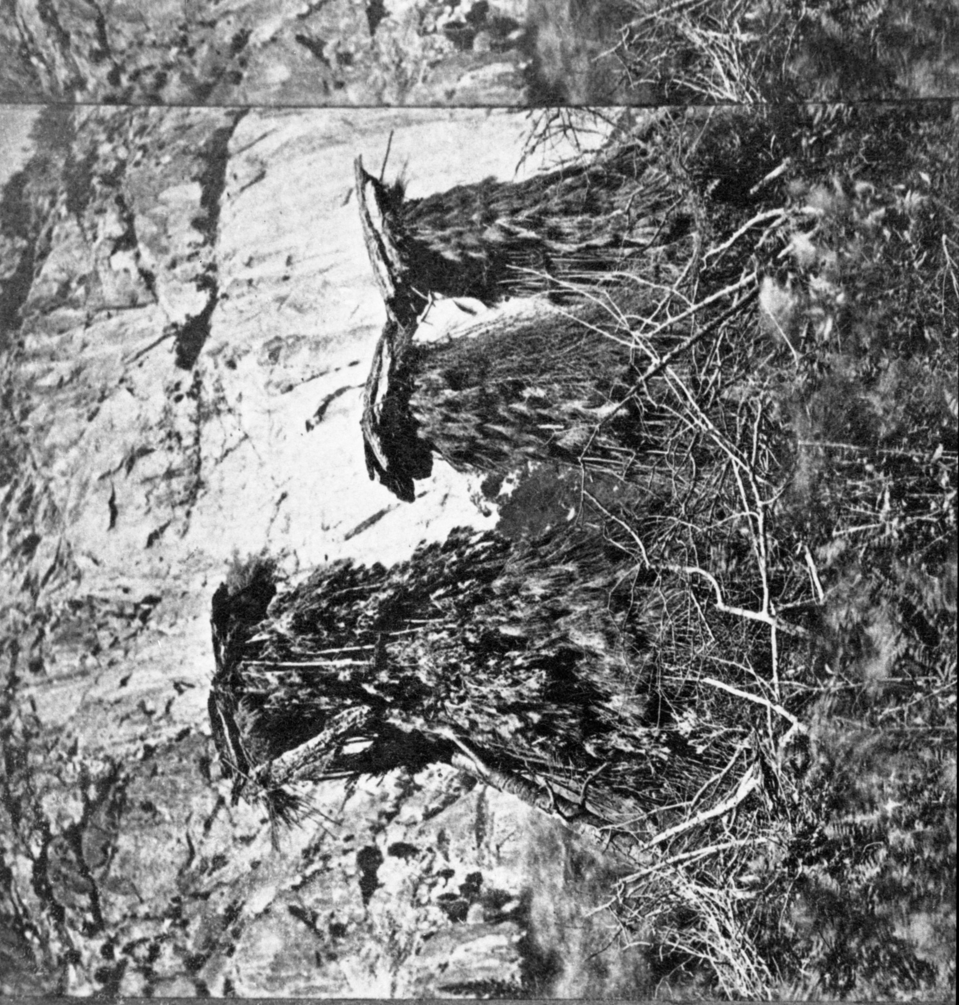 Detail of L. Smaus stereo (RL-16,591). Labelled on back: "Cashes, or Indian Acorn Storehouses." Chuck-ahs in Yosemite Valley.