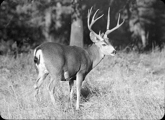 Yosemite National Park