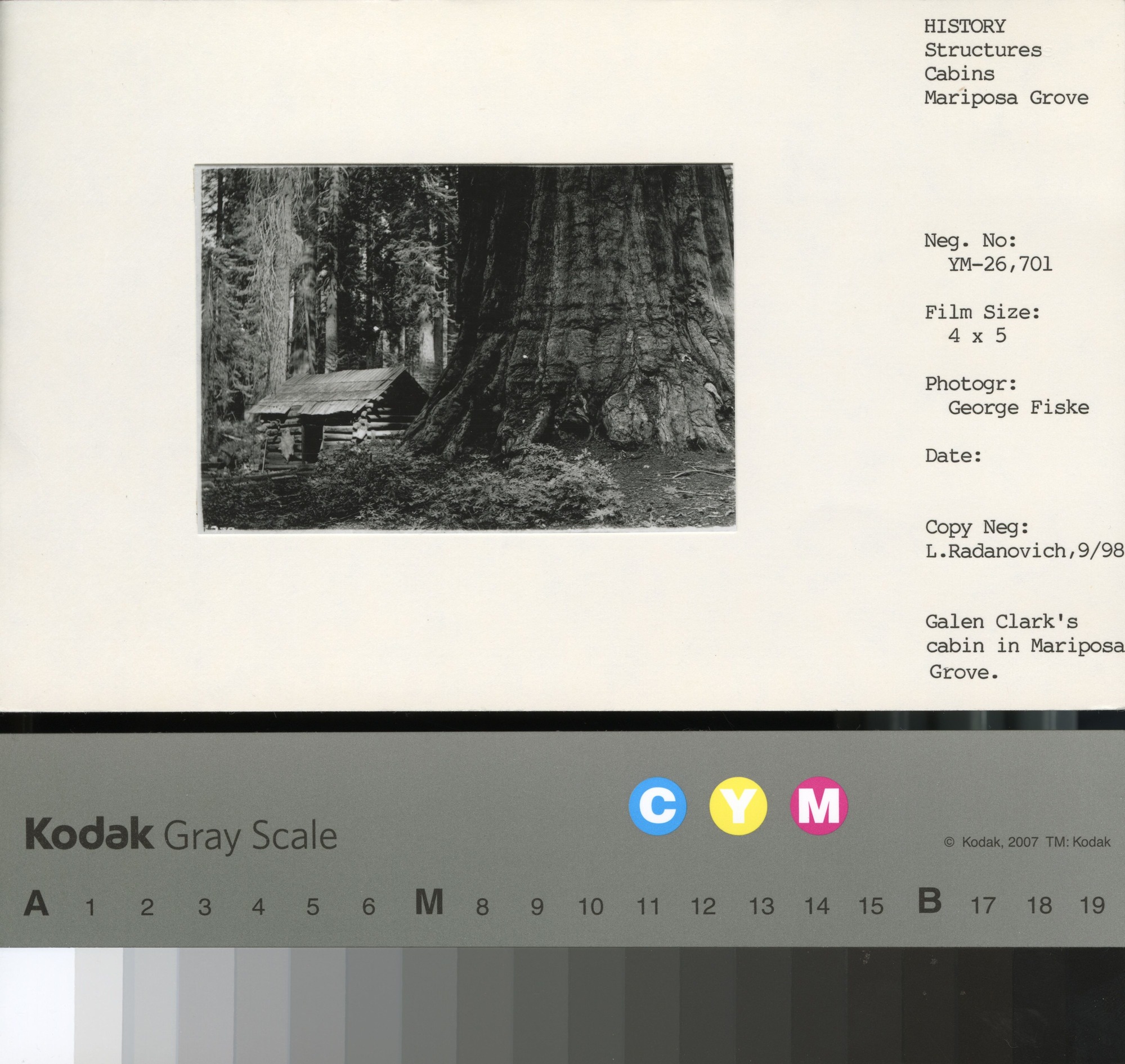 Galen Clark's cabin in Mariposa Grove. Copy Neg: Leroy Radanovich, September 1998