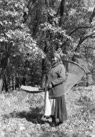Ta-buce (Maggie Howard) among oaks picking acorns.