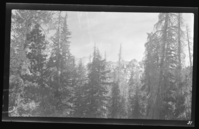 View from Tioga Pass Road.