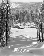 Badger Pass Ski Area sans snow.