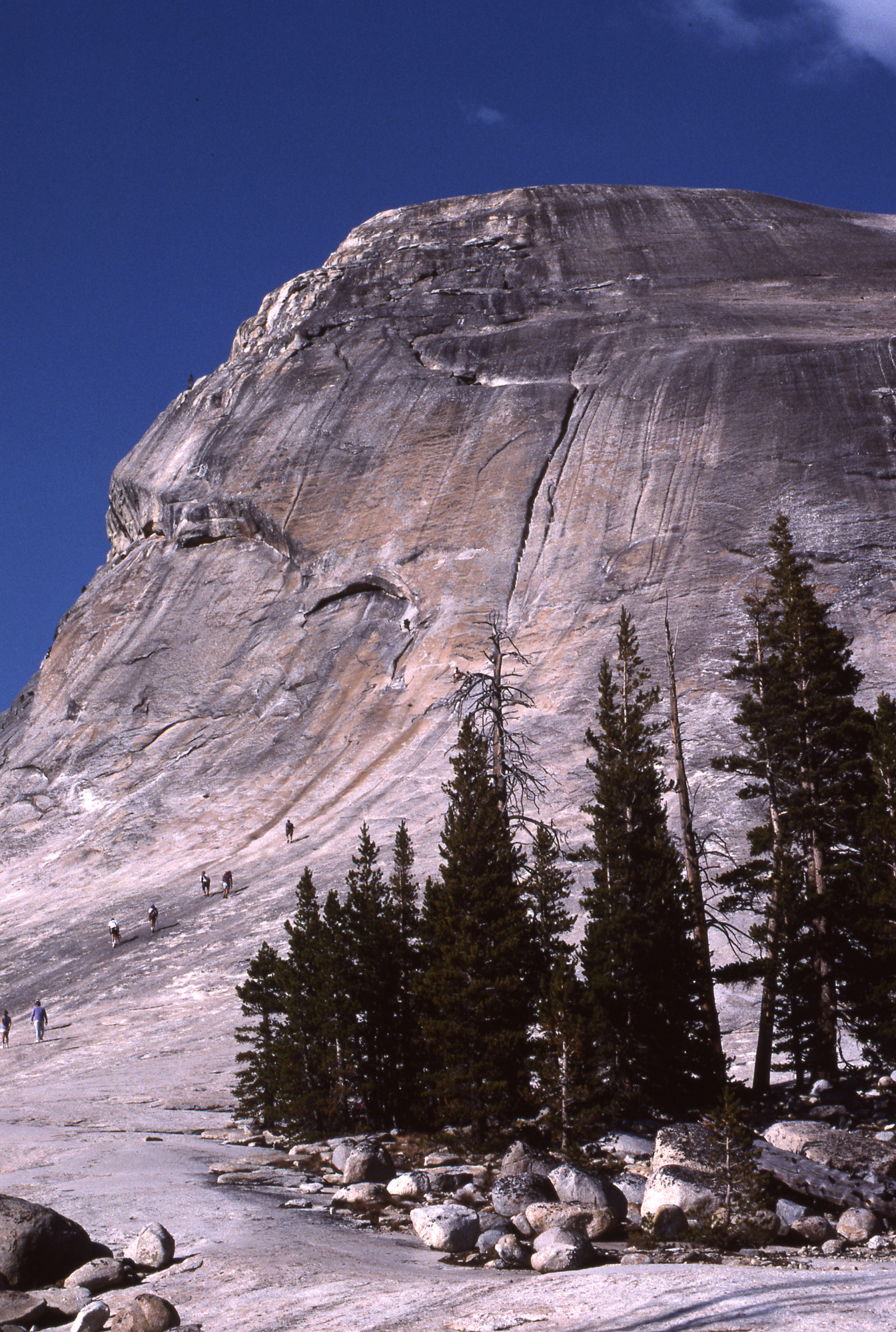 Tuolumne Meadows
