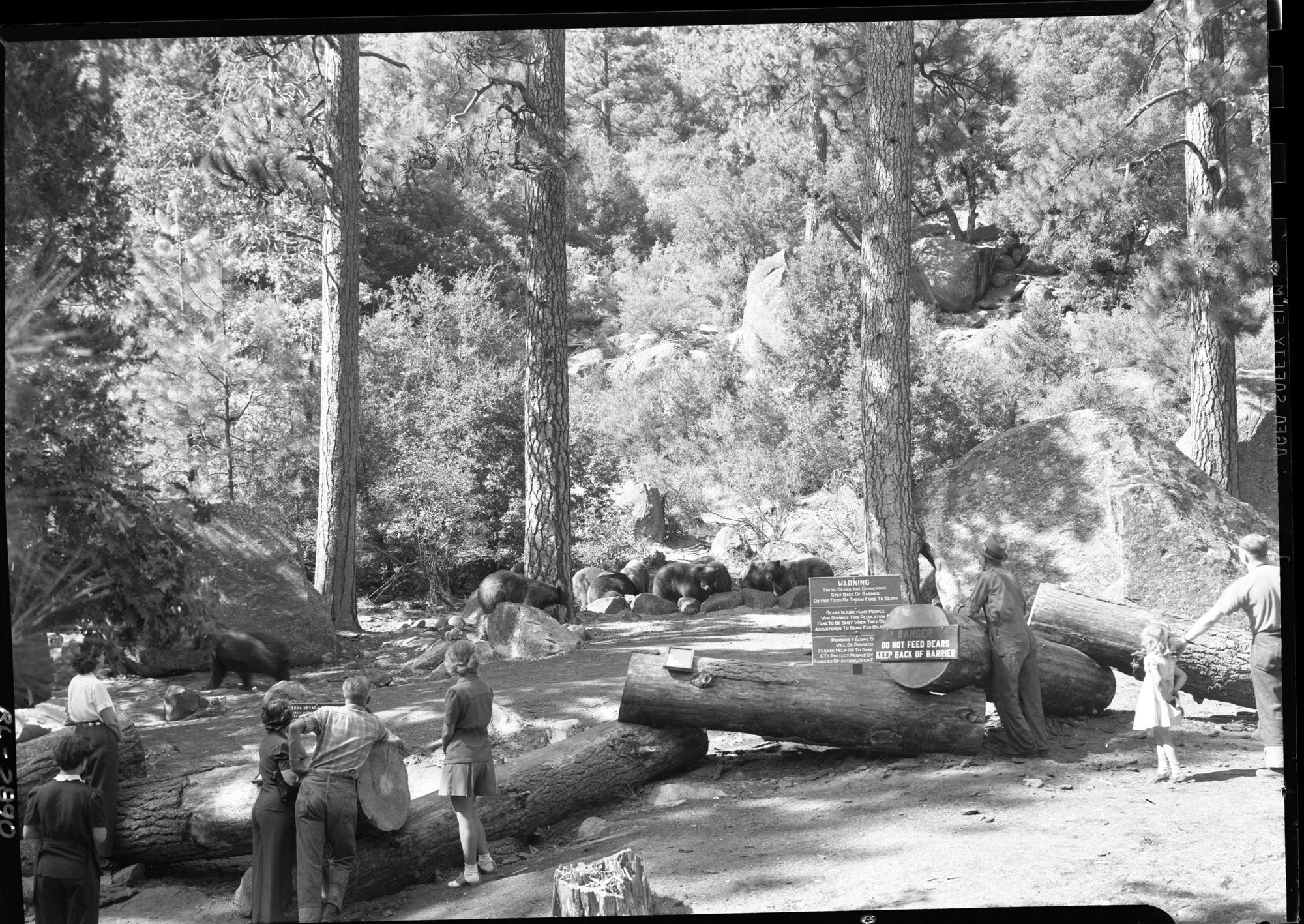 Bear feeding place