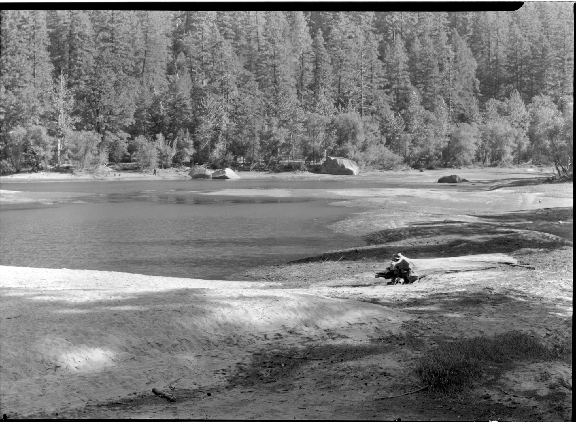 Looking across from bridle path.