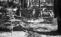 Old cabin near Tuolumne Meadows. See also, Yosemite Nature Notes Vol. 40, No. 5 (January 1962) p. 106.