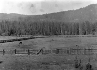 A section of Big Meadows. Big Oak Flat Road.View of Big Meadows & sidehill where the new road is located.