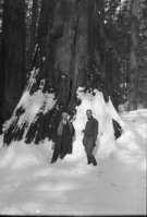 Gen. Ortiz Rubio, Ex-president of Mexico & Col. Tillery, USA aide at Bachelor Tree.