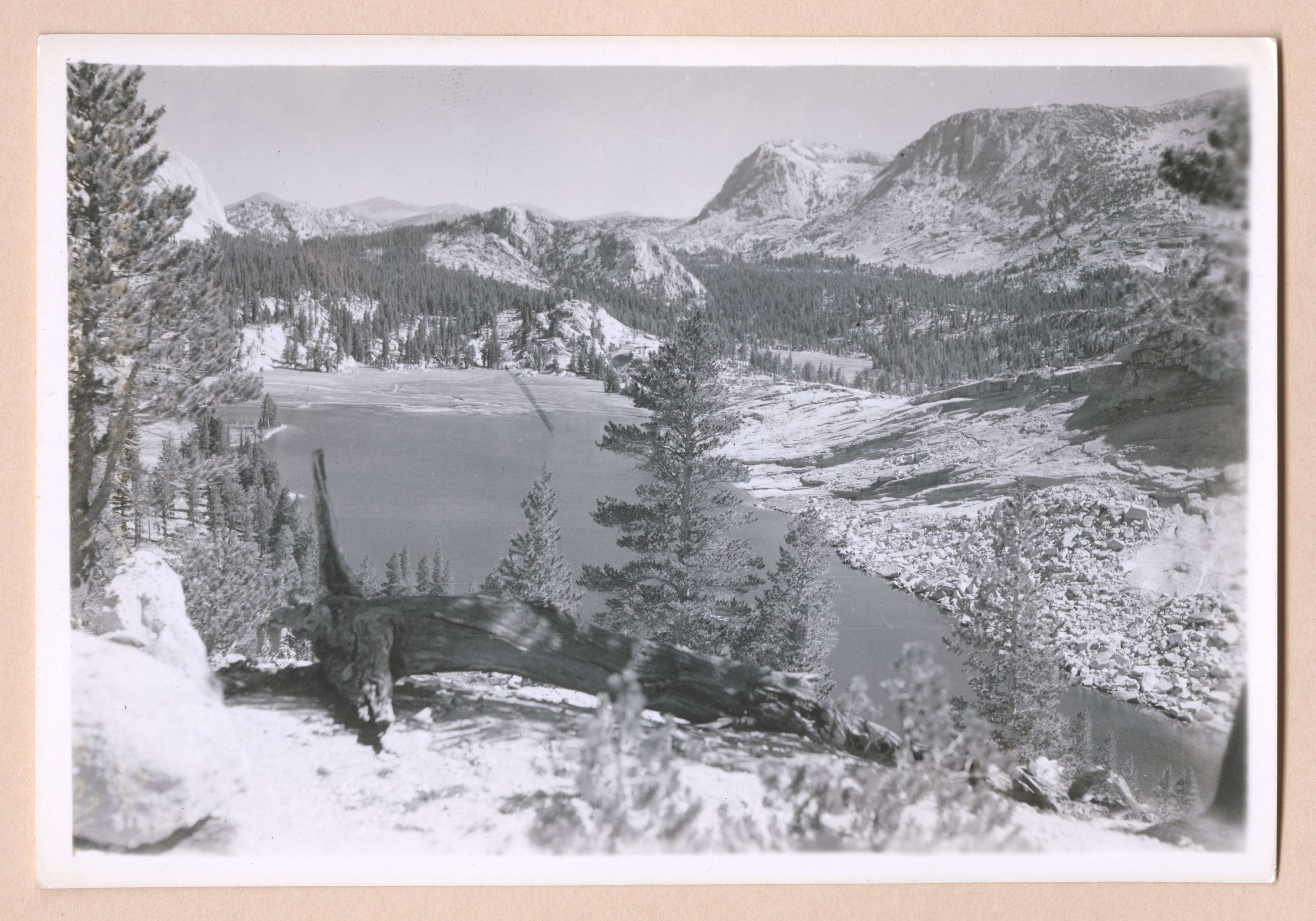 View of Emeric Lake in foreground with Volgelsang Pk in R background, L & Md types on valley floors; Wp types on the slopes of Vogelsang