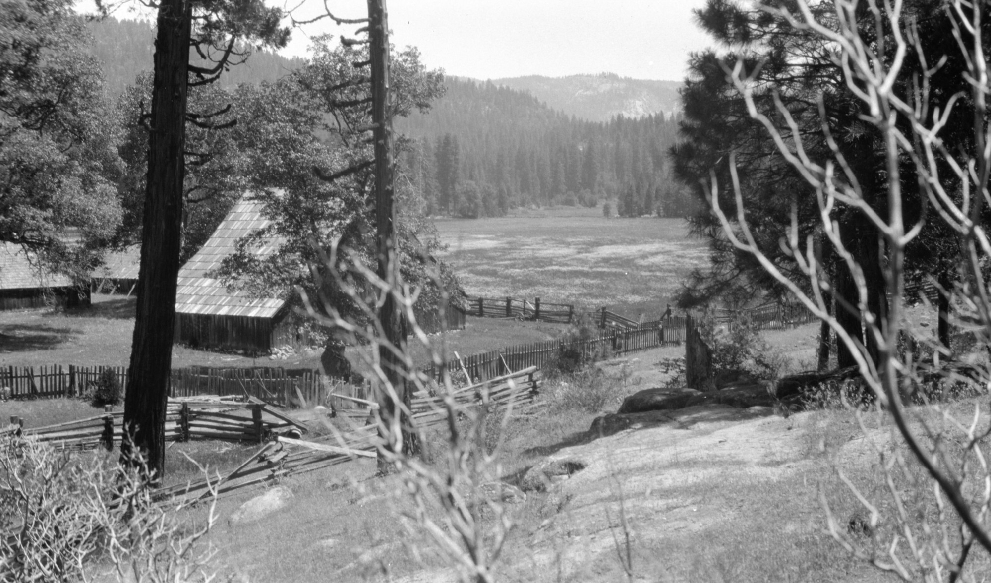 Big Meadows