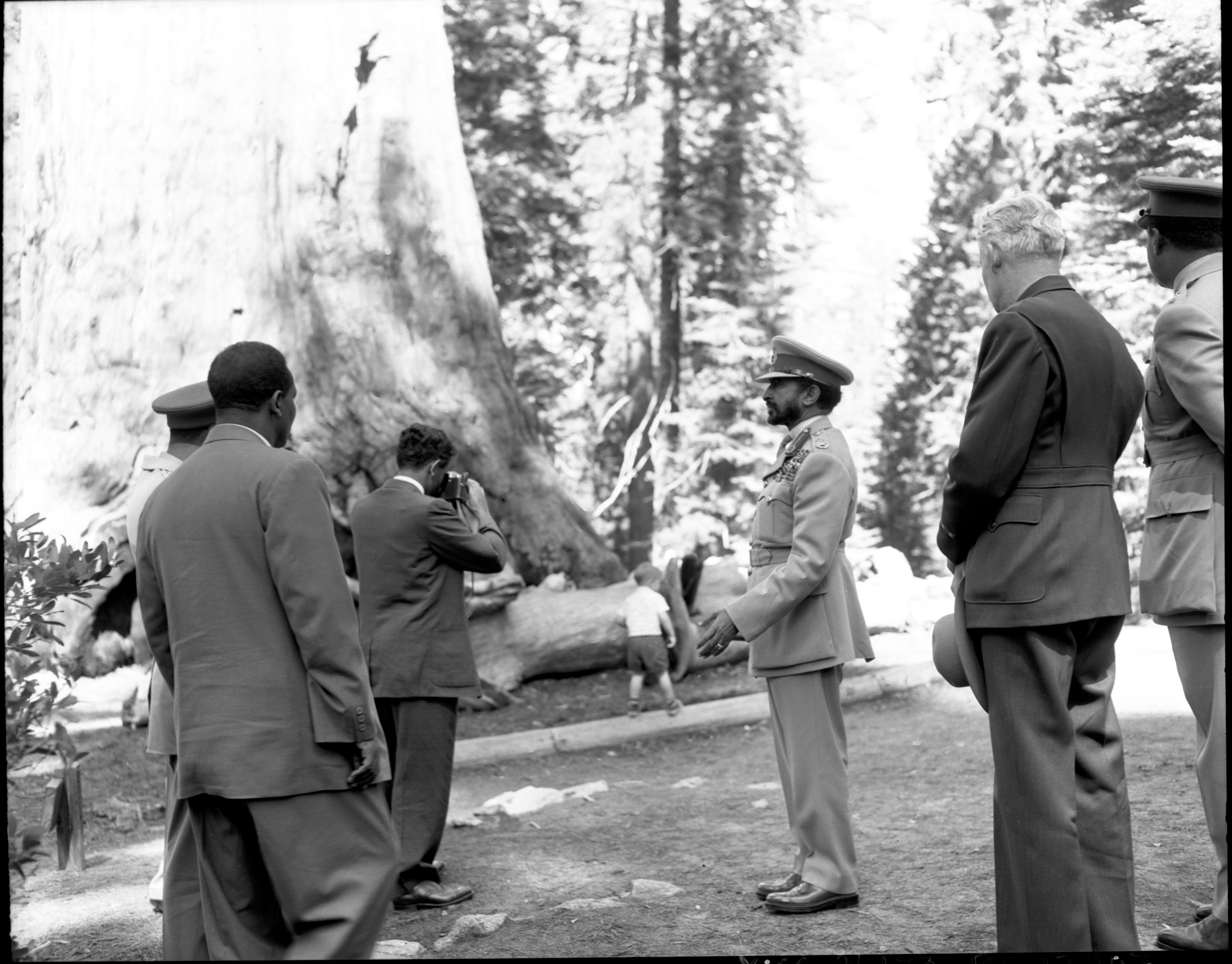 Haile Selassie in the Mariposa Grove of Big Trees.