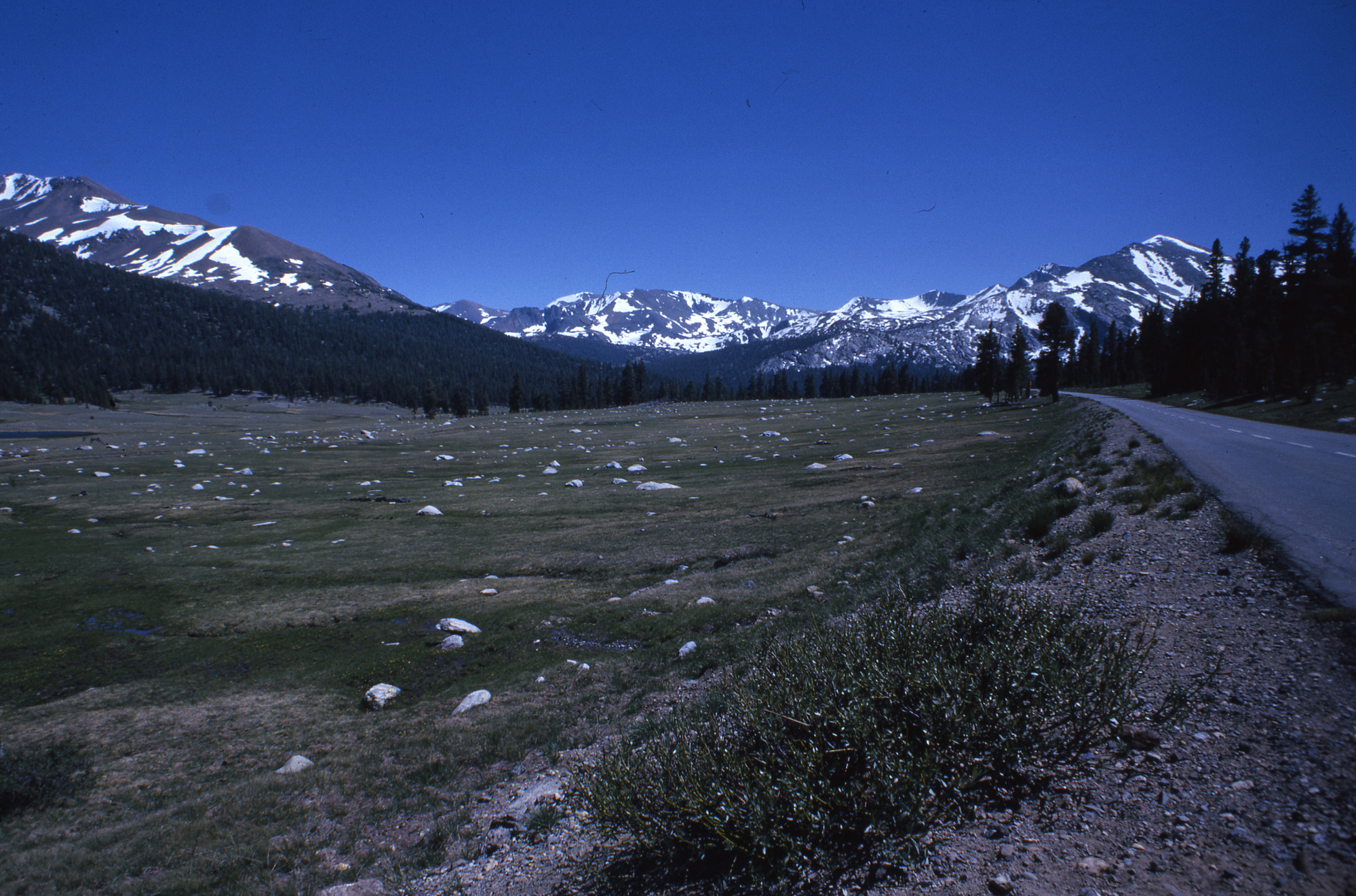 Tioga Pass