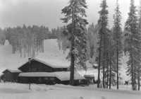 Badger Pass Ski House after snowstorm.