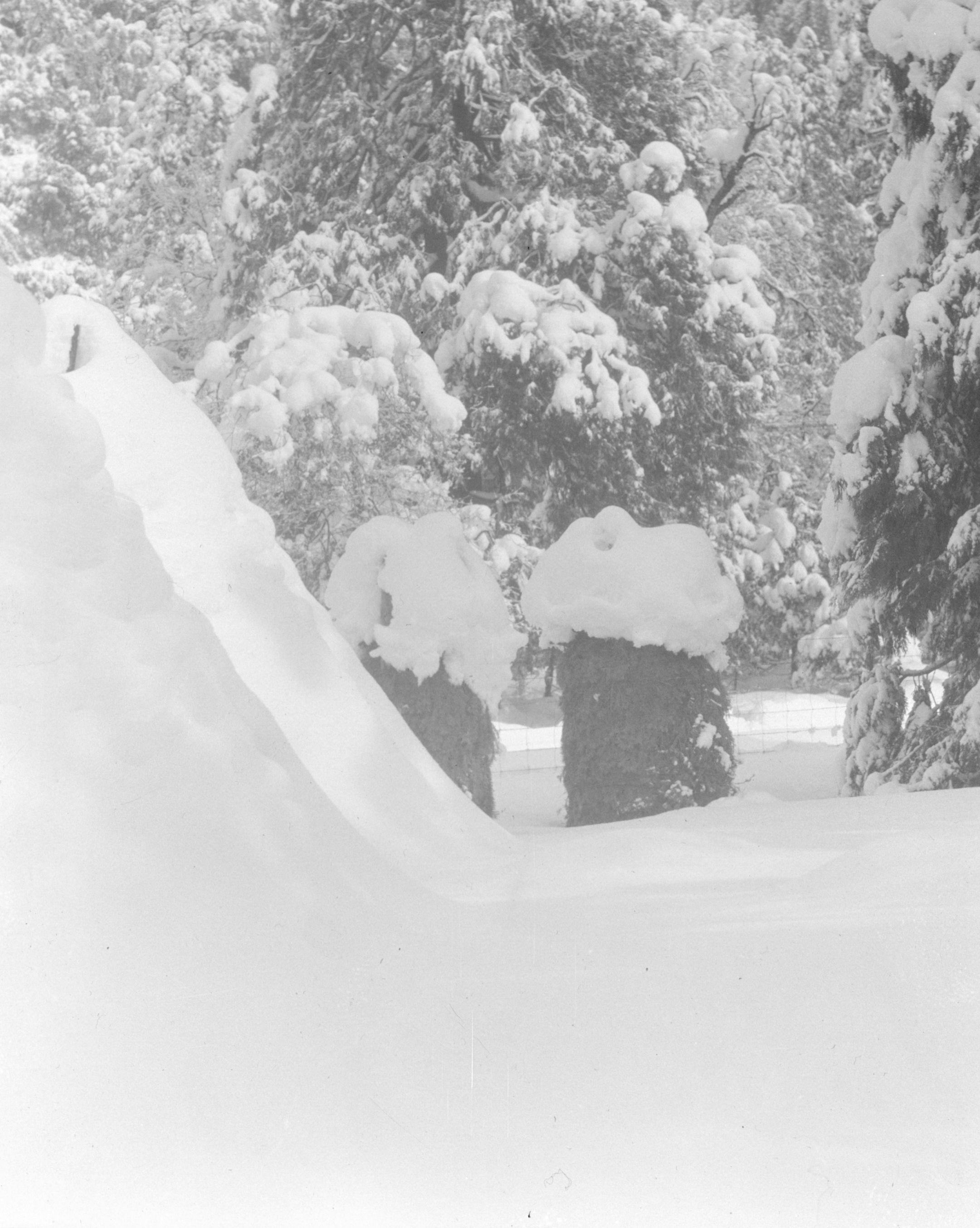 Chuck-as covered with snow in midwinter