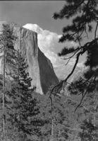 [Inverted image on photo card].